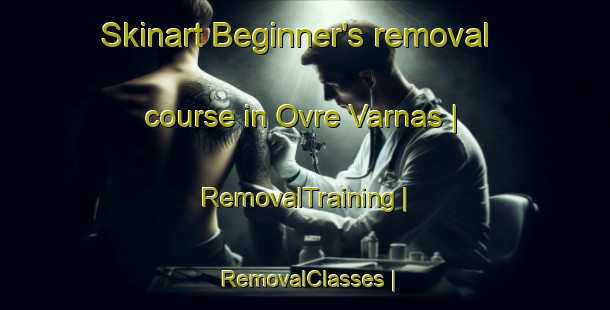 Skinart Beginner's removal course in Ovre Varnas | RemovalTraining | RemovalClasses | SkinartTraining-Sweden